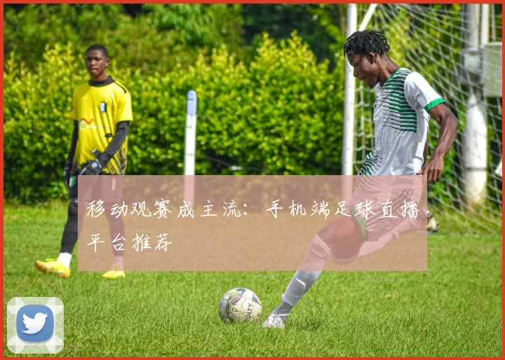移动观赛成主流：手机端足球直播平台推荐