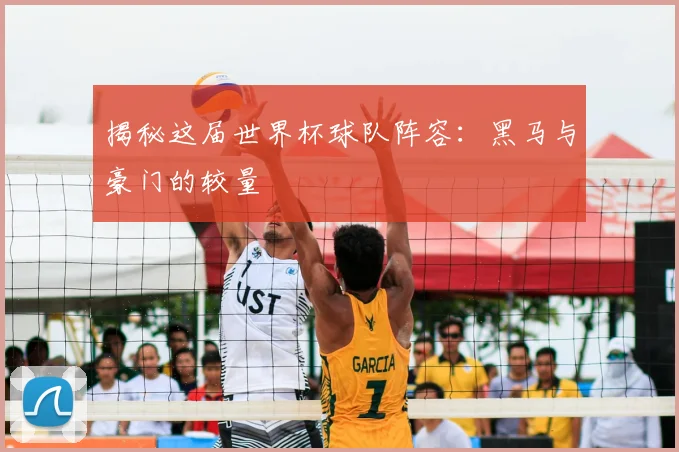 揭秘这届世界杯球队阵容：黑马与豪门的较量