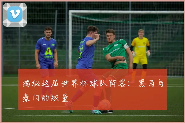 揭秘这届世界杯球队阵容:黑马与豪门的较量