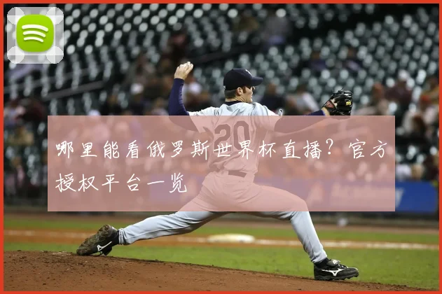 哪里能看俄罗斯世界杯直播?官方授权平台一览