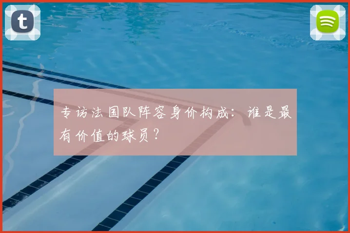 专访法国队阵容身价构成:谁是最有价值的球员?