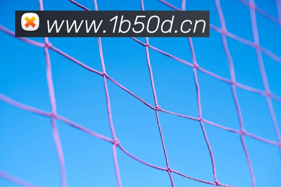 九游j9官网首页进入发展历程